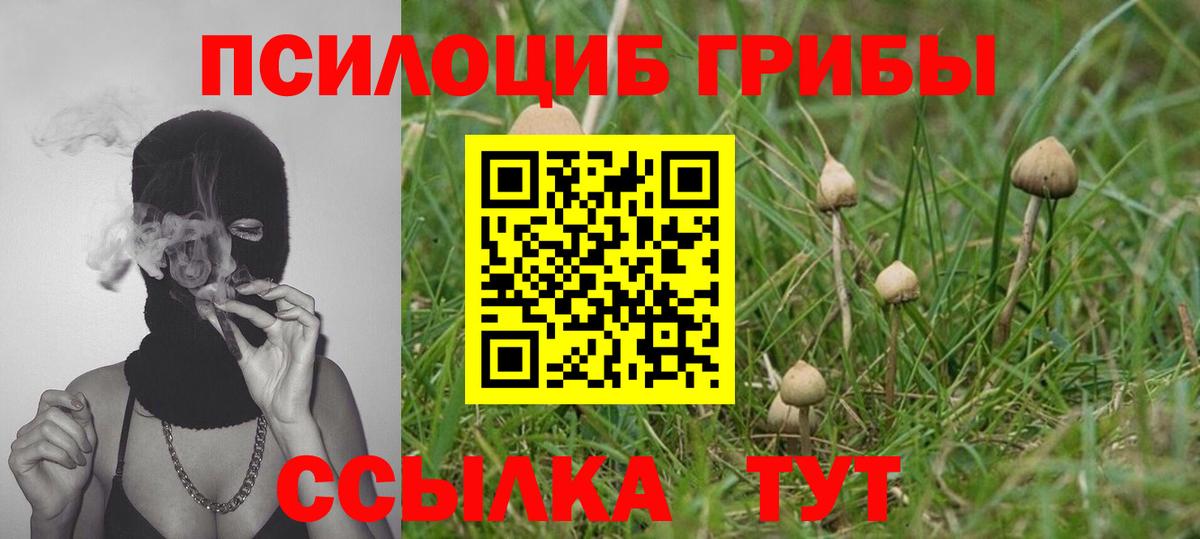 Галлюциногенные грибы Magic Shrooms Медногорск